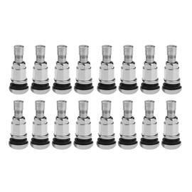 Bolt-in Stainless Steel Car Wheel Tire Valve Stems with Dust Caps (16PCS)