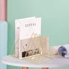 Jinlaili Newspaper Rack Metal Magazine Stand Gold, 9 Slots Triangle