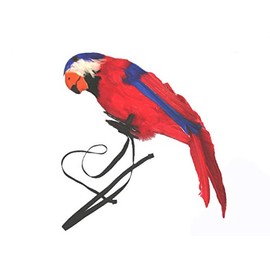 Parrot 40cm