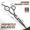 JASON Hair Cutting Scissors Shears - 6" Professional Ergonomic Black