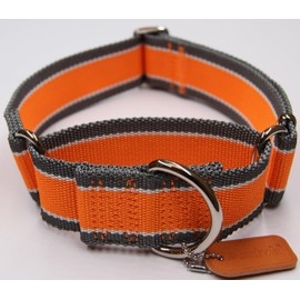 Axdvk Martingale Collar 1.5 Inch Wide 1600D Extra Strong Anti Escape Nylon Dog Collar, No Pull Heavy Duty Pet Collars with 3-Color Stripe for Large to XLarge Dogs (XL, Orange & Gray)