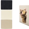3Pcs Sugar Glider Toys, Self-Adhesive Small Animal Climbing Felt Mats,