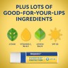 Herpecin-L HL Lip Protectant Sunscreen and Cold Sore Lip Balm