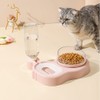 Love Dream Pet Feeder, 2-in-1 Double Bowls with Automatic Drinking