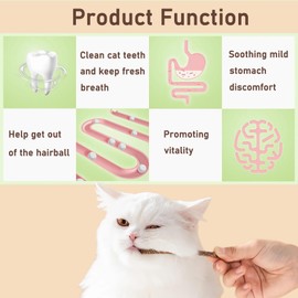 Maiguangta Natural Silvervine Catnip Chew Sticks (12 PC) - Edible Dental Chews for Cats & Kittens, Teething Relief Teeth Cleaning Toys