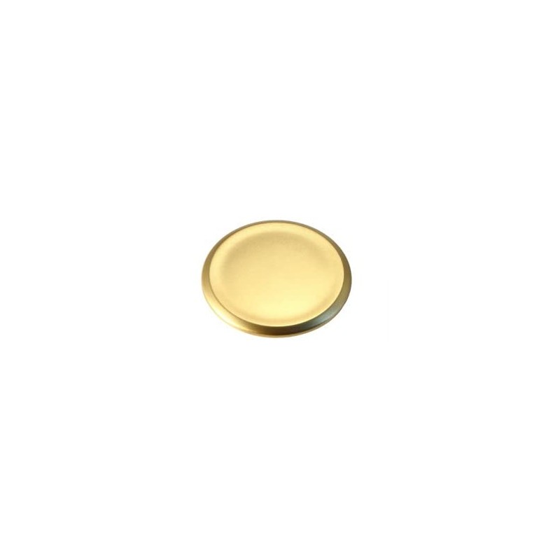 Brass Powder, 0.3 oz (10 g) Shinchu Powder, Made in