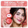 Profusion Cosmetics Casper & Hot Stuff Blushlighter