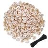 150 PCS 0.63"-0.71" Natural Strong Cowrie Shell Beads Smooth Cut