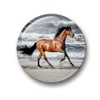 04 Large Fridge Magnets for Memo Board / Notice Board