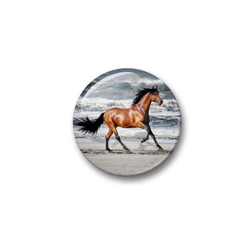 04 Large Fridge Magnets for Memo Board / Notice Board