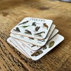 6 Wild Bird Drinks Coasters Funny Pun Tea Coffee Coasters