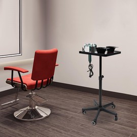 Salon Tray on Wheels,Salon Tray Cart with 2 Magnetic Bowls Irony Tattoo Table Station Rolling Tray with Hair Stickless Wheels,Hair Stylist Instrument Tray
