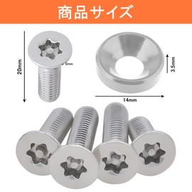 Singertop Car License Plate Bolts Anti-theft Bolts Security Bolts License Frame Screws M6 Motorcycle License Plate Holder Set of 4 (Silver)