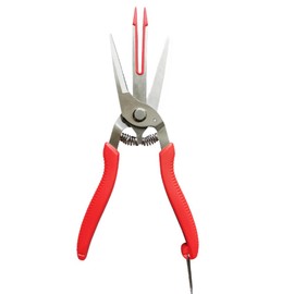 Itisyou Double-edged Apple Scissors, Pruning Shears, Pruning Shears, Flower Cutting Shears, Fruit Tree, Pear Tree, Double Cut, Dual Purpose for Thinning Flowers and Fruit Hunting, Fruit Tree Pruning