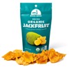 Mavuno Harvest Jackfruit Dried Fruit Snacks | Unsweetened Organic Dried