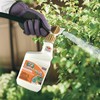 Bonide Captain Jack's Copper Fungicide, 16 oz Ready-to-Spray Disease Control