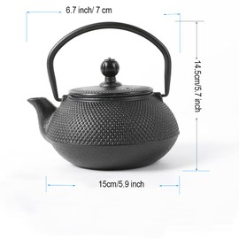 HAWOK Cast Iron Teapot with Stainless Steel Infuser (600ml/20oz)