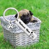 LQRI Belgian Malinois Dog Gifts Malinois Dog Mom Dog Dad