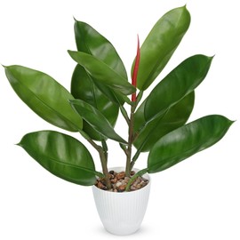 GnFlus Fake Plant Artificial Rubber Plant 15.8" Fake Tropical Potted in White Pot Decor for Home Indoor Tabletop Centerpieces Living Room Bedroom Decoration