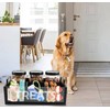 Geyecete Dog Treat Container cat food container with 3 Jars