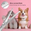 HASHIMOTO Small Dog Grooming Scissors with Rounded Tips, 5.0 inch,