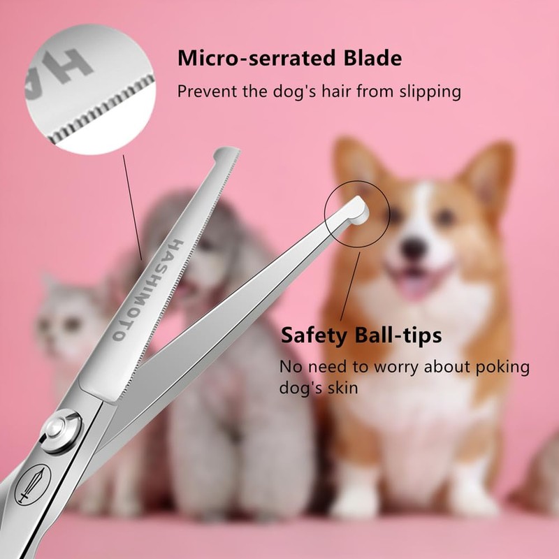 HASHIMOTO Small Dog Grooming Scissors with Rounded Tips, 5.0 inch,