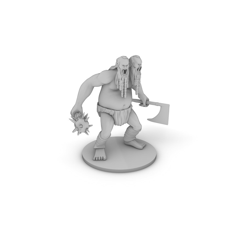 Ettin Tabletop DND Gaming Miniature