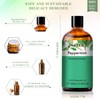 PHATOIL Essential Oil Peppermint 100ml Essential Oil Aroma Oil Present