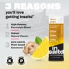 INSALTD INSALTD? Sugar-Free Electrolytes Powder Packets with No Stevia Aftertaste