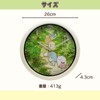 Arias WC23017SXSG-BE Sumikko Gurashi Wall Clock, Analog, Diameter 10.2 inches