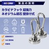GOODRIG Carabiner Hook, Super Strong Magnetic Hook, 360 Degree Rotation,