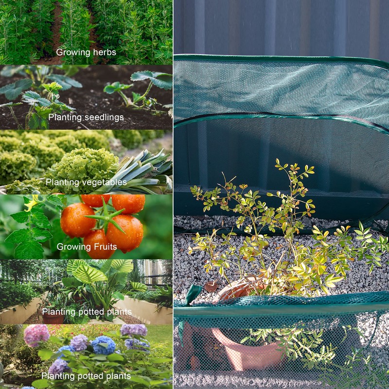 ANC POP 3 Pack Pop Up Mesh Plant Cover, Plant