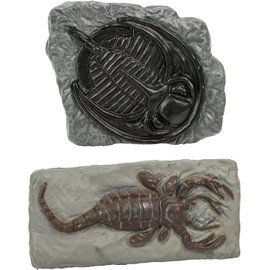 Safari Ltd. | Ancient Fossils - 10 Pieces | TOOBs Collection | Miniature Toy Figurines for Boys & Girls