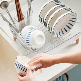 DoubleWinT Dish Rack, Dish Drying Rack for Kitchen Counter, Dish Drainer with Drainboard Set and Utensil Holder, Sink Drying Dish Strainer Rack (Clear)