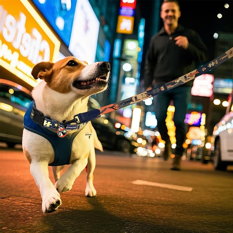 PawView Dog Collar & Leash Set with Smart ID Tag