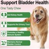 Oimmal Natural Dog Urinary Tract Infection Supports Bladder , Dog