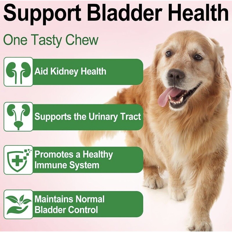 Oimmal Natural Dog Urinary Tract Infection Supports Bladder , Dog