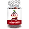 NATSA Aceite de Krill 100 Cápsulas Con EPA y DHA