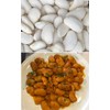 Greek Gigantes Beans 20+ fresh seeds