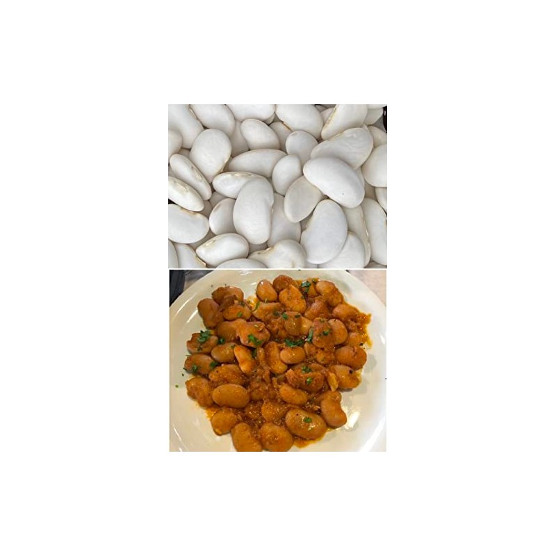 Greek Gigantes Beans 20+ fresh seeds