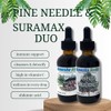 Ganesha Herbs Suramax and Pine Needle Complex Formula Tincture High