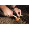 Esschert Design Wooden Dibber Plant Aid 8 cm x 2