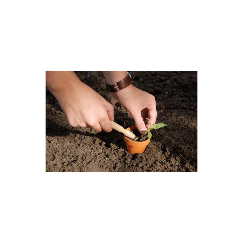 Esschert Design Wooden Dibber Plant Aid 8 cm x 2
