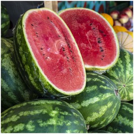 SEBIOLA Giant Watermelon Seeds for Planting Garden Non-GMO Heirloom 10pcs, Sweet Carolina Cross Watermelon
