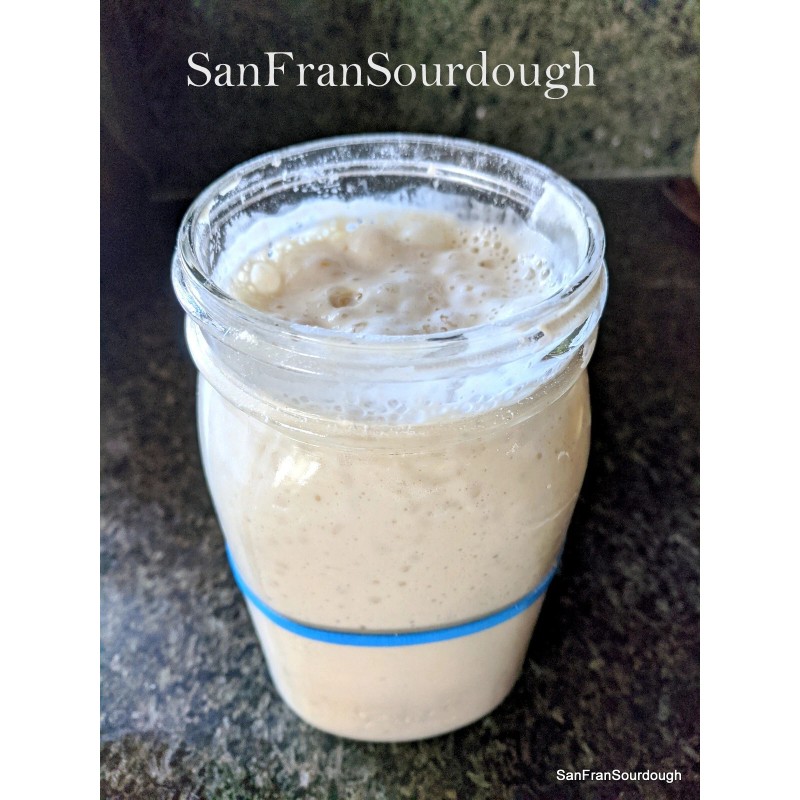 SanFranSourdough California SOUR STARTER tangy active strong Sourdough bread Organic