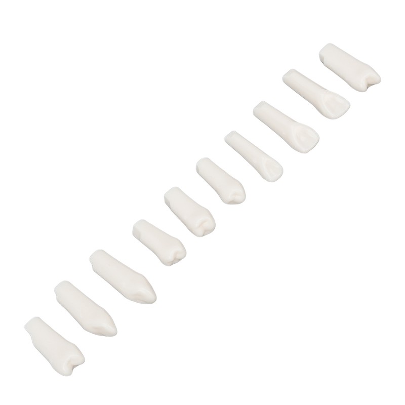 28Pcs Removable Teeth Piece Durable Plastic Removable Design False Teeth