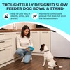 Slow Feeder Dog Lick Bowl 2in1 Set – Elevated Silicone