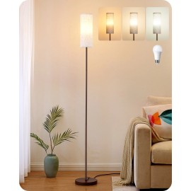 EDISHINE LED Floor Lamp for Living Room, 63.7in Modern Standing Lamp 9W LED Bulb