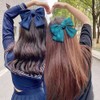 FASELE Hair Clip, Barrette, Bowknot, Adult, Cute, Hair Accessory, Big
