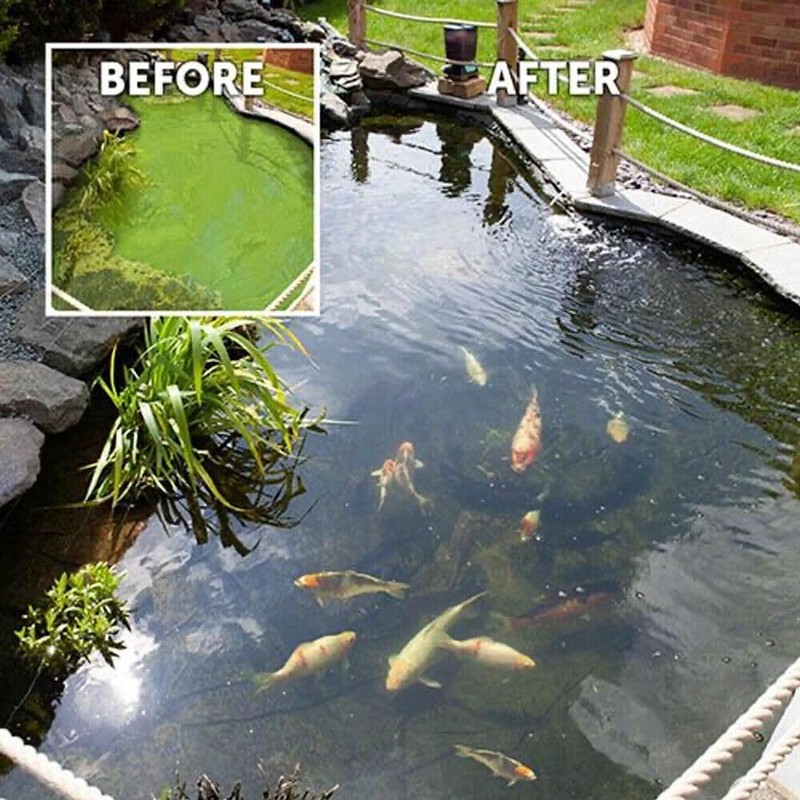 Kleeneze Pond Clarifier, 100g - All Natural and Microbial Based